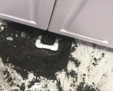 安定查漏水哪家好